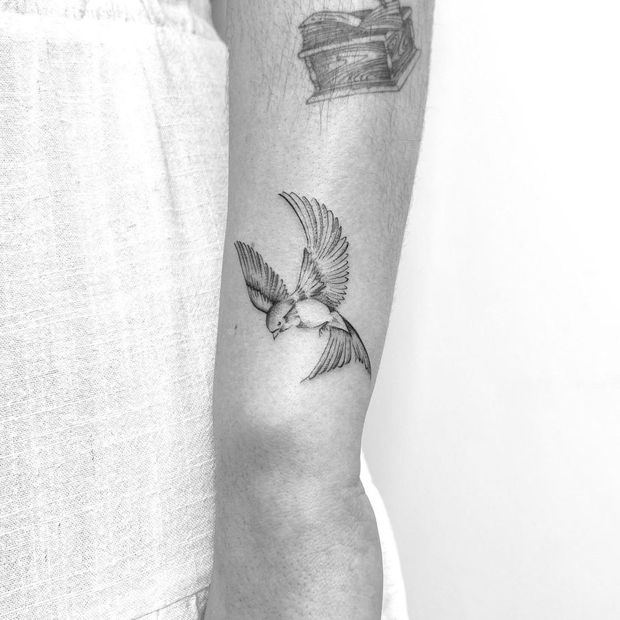 Pájaro tatuado en línea fina